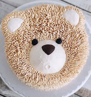 Teddy Designer